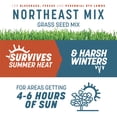 thumbnail image 3 of Pennington Smart Seed Northeast Grass Seed and Fertilizer Mix, for Sun to Partial Shade, 20 lb. New Bag, 3 of 21