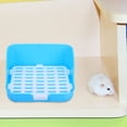 thumbnail image 4 of unbranded De Para En ABS Azul Ideal Para Entrenamiento De Conejos Y Pequeños Roedores, 4 of 7