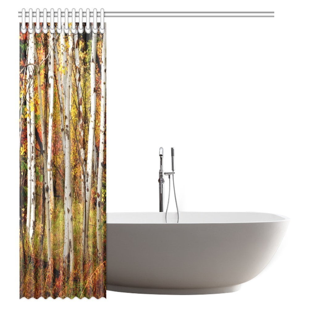 GCKG Fall Woodland Shower Curtain, White Fall Birch Trees with Autumn
