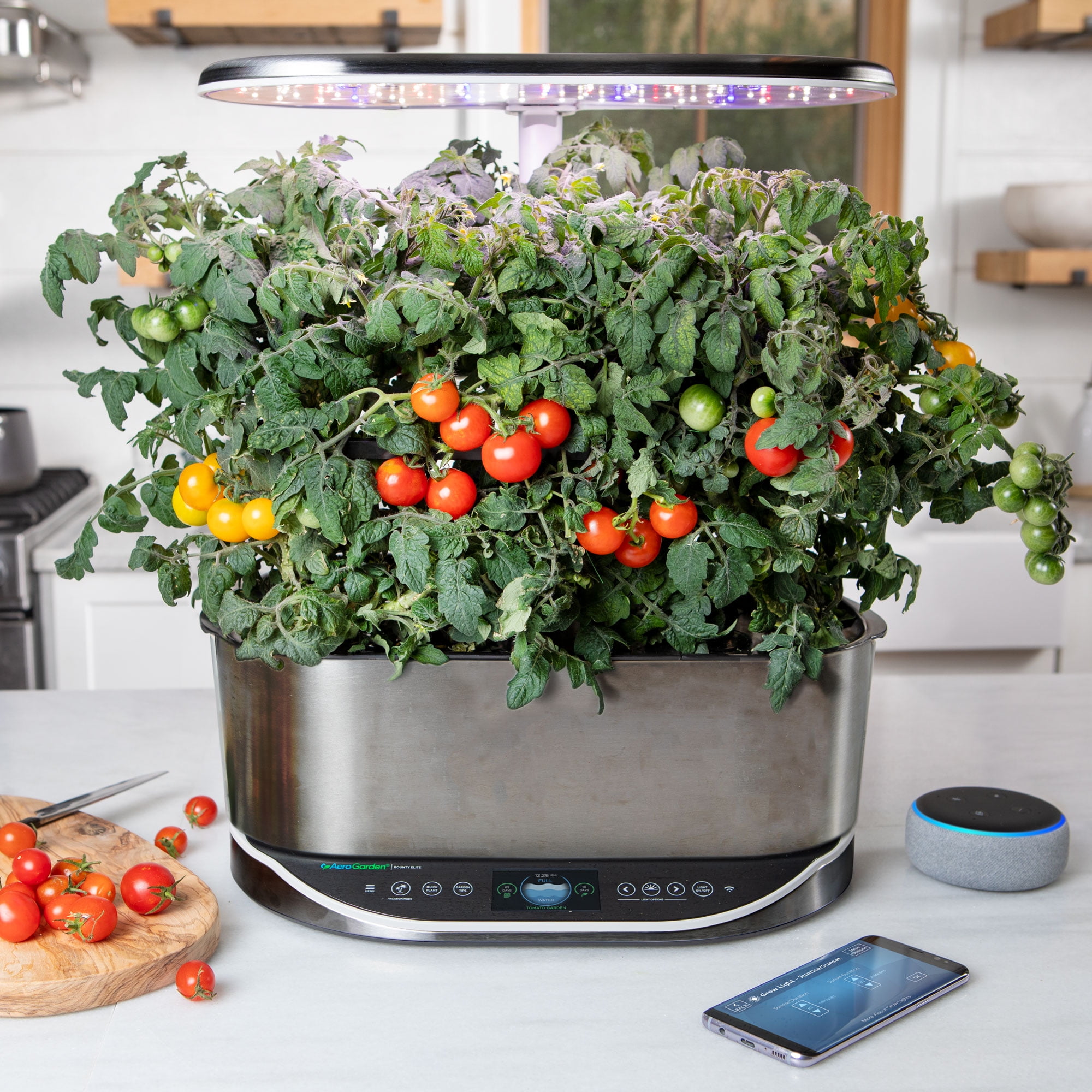 AeroGarden Red Heirloom Cherry Tomato Seed Pod Kit (9-pod)
