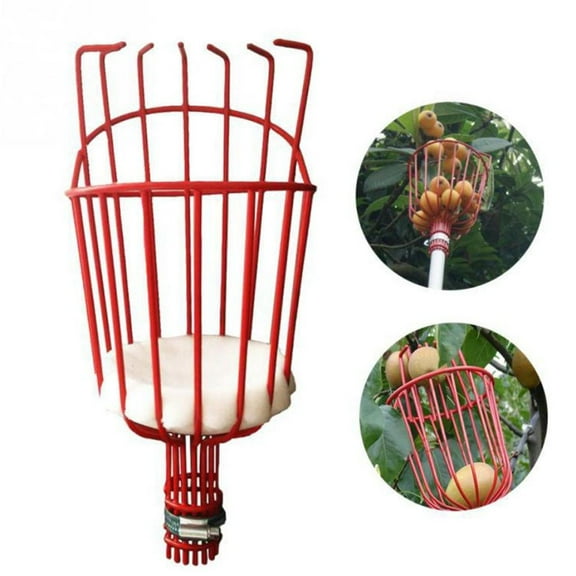 Thsue Red Fruit Harvester Basket Cushioned Bruise Free Picking Tool for Apples Pears