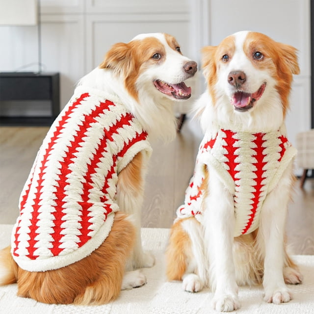 Ropa para perros Golden, Ropa para gatos, Disfraces para animales, Accesorios para mascotas, Juguetes suaves para gatos, Ocasión: para hogar, Talla grande, Material: algodón, Diseño: ajustable,