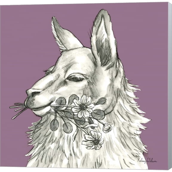 Great Art Now Llama by Kelsey Wilson, Canvas Wall Art, 12W x 12H