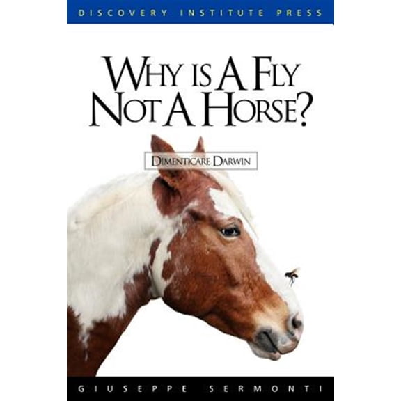 Why is a Fly Not a Horse? (Paperback)