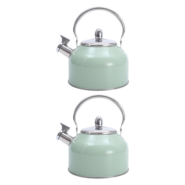 Hervidor Cateissary con silbido resistente a impactos acero inoxidable hecho para durabilidad 3 litros