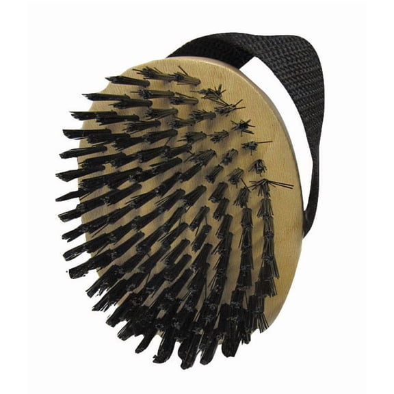 Aloe Care Pet Brush Glossing 2 In. X 4-1/2 In., Small