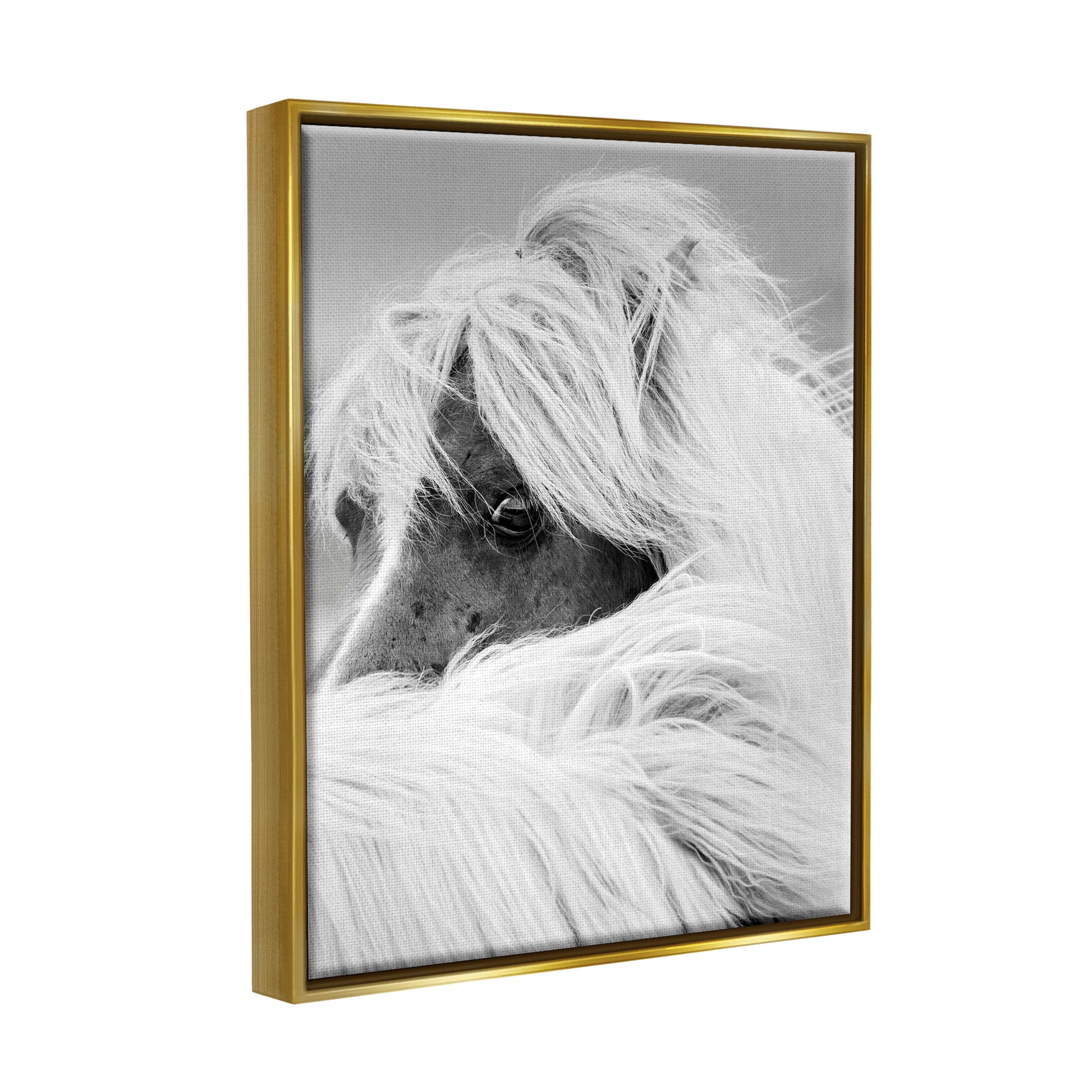Horse Gazing Windblown Mane Animals & Insects Photograph Metallic Gold Framed Art Print Wall Art