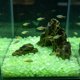 thumbnail image 4 of Pequeñas piedras romboidales que brillan en la oscuridad para sustrato de jardín y acuario: piedras fluorescentes luminosas para decoración nocturna, paisajismo acuático y detalles de caminos., 4 of 6