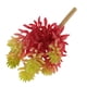 thumbnail image 5 of Echeveria Flor Artificial Planta de Desierto Hierba Disposición Planta Rojo Decoración Oficina Casa de Macarena  Planta artificial, 5 of 8