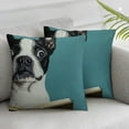 thumbnail image 3 of nygtbtfer Throw Pillow Cover Boston Terrier Text Somebody Farted for The Dog Lover Pillowcase Home Decorative Square Pillow Case Cushion Cover White, 3 of 7