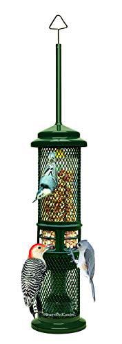 squirrel buster bird feeder charge