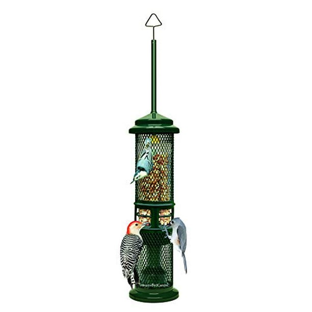 Squirrel Buster Nut Feeder Squirrel-Proof Bird Feeder for Nuts and