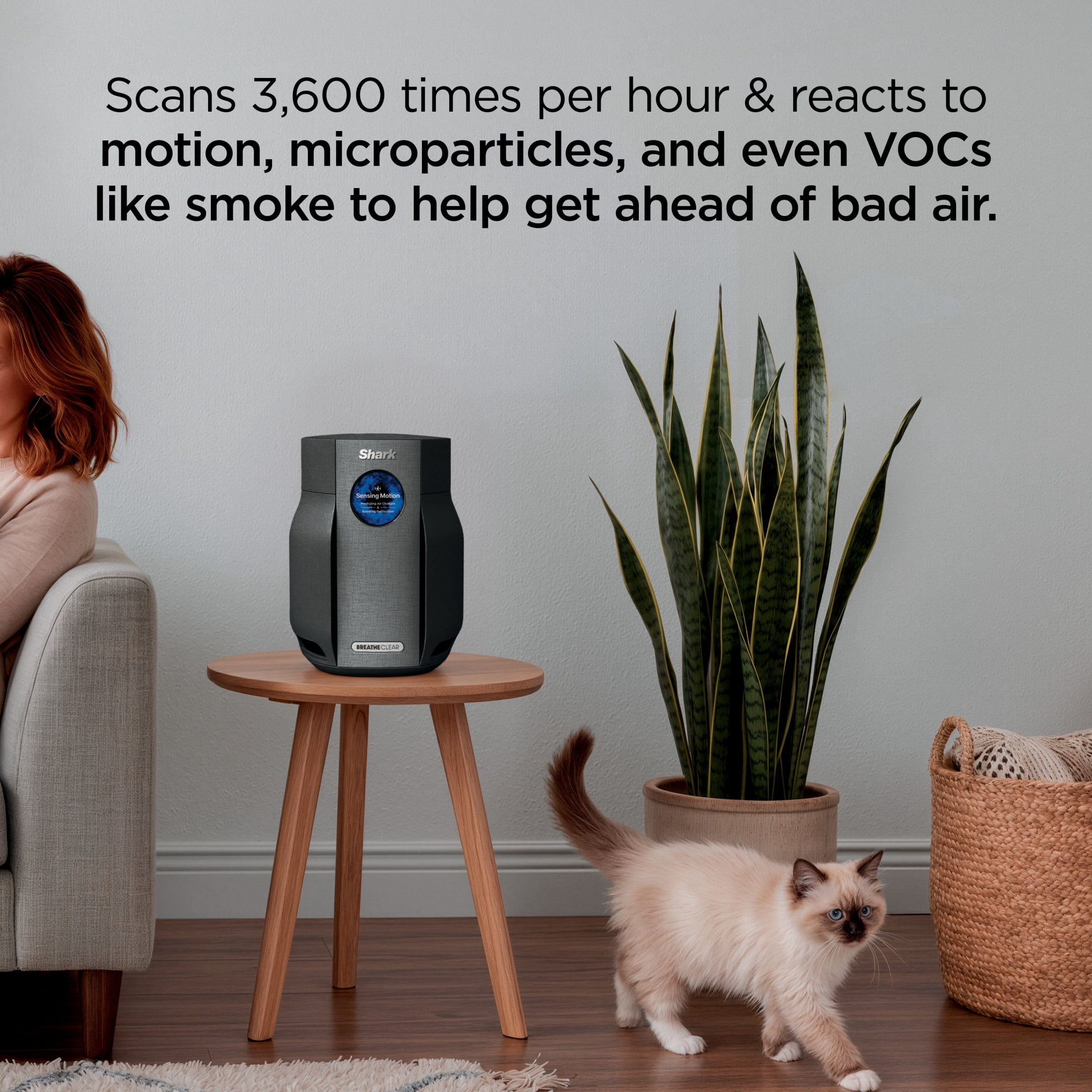 Shark BreatheClear Compact Pro with NeverChange 300 Sq Ft Intelligent Air Purifier, HEPA-Exceeding Filter, Zero Filter Changes For Up To 6 Years, HP062YL Butter