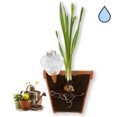 thumbnail image 3 of Bola de riego automático para plantas, maceta con riego automático, paquete de 2, irrigador por goteo automático para plantas de interior y exterior, plantas colgantes, plantas de jardín,, 3 of 5