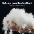 thumbnail image 2 of Peace Nest Goose Feather Down Pillows King Size Set of 2, 100% Cotton Cover Hotel Collection Pillows for Sleeping, 2 Packs Bedding Bed White Pillow Inserts for Back, Stomach or Side Sleepers, 2 of 7
