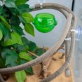 thumbnail image 3 of HEVIRGO Simulation Jungle Reptile Vine Habitat Fake Plant Decor for Lizards Chameleons, 3 of 11