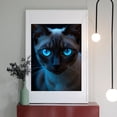 thumbnail image 2 of Diamond Art Kits for Adults - 5d Blue Eyed Cat Portrait Dark Background Diamond Painting for Adults, Diamond Art for Adults Beginners, Diamond Painting Kits for Adults for Home Wall Decor, 2 of 7