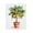 Potted Orange Tree Painting, variant on Stupell Industries Potted Orange Tree Canvas Wall Art, design by Shelly Craig