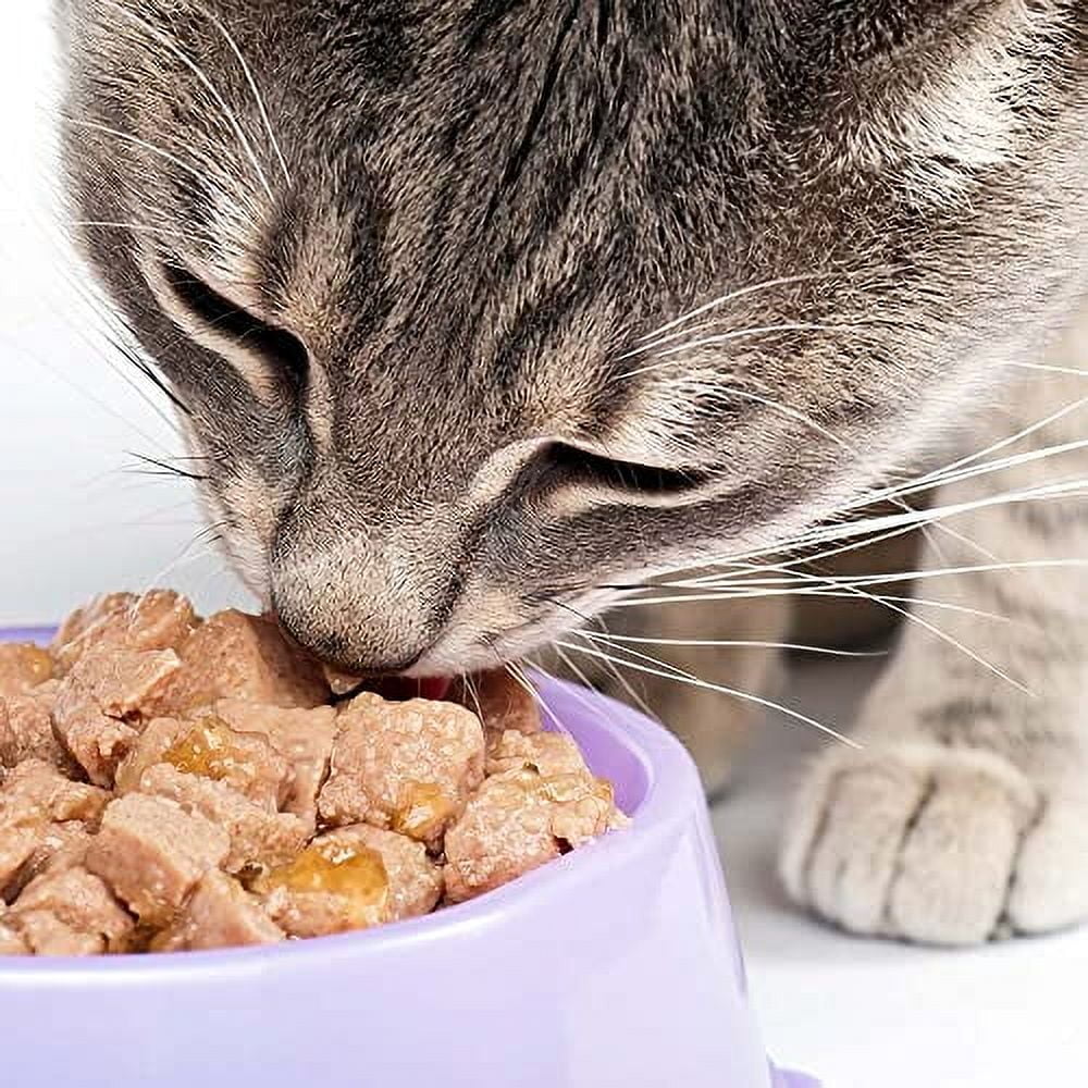 Wet Grain-Free Cat Food Sensitive Skin and Stomach Formula 2 Flavor (3) Each: Arctic Char Fish, Duck Entree (3 Ounces) | MerlinsMart Zine & Catnip Toy | Pro Plan
