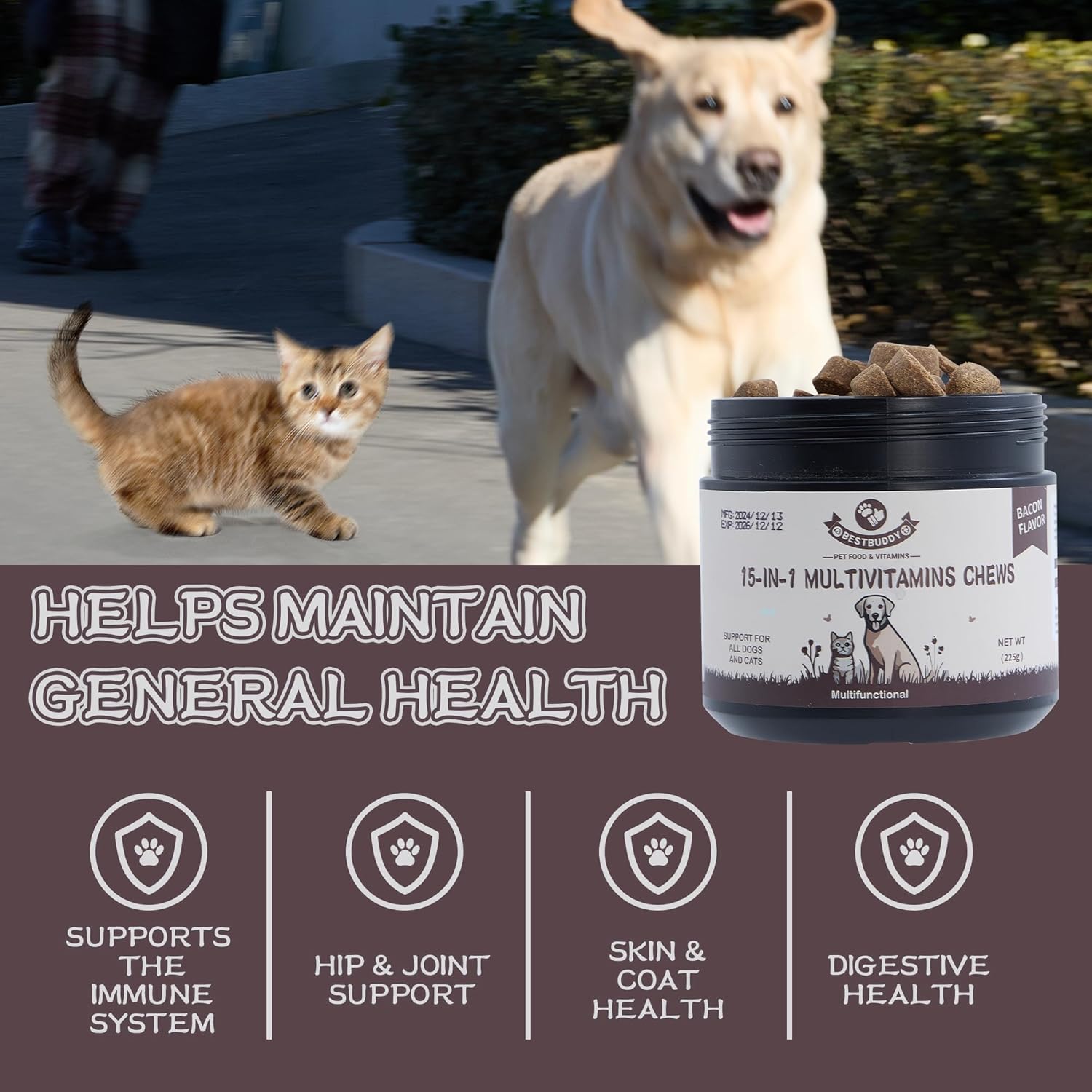 Best Buddy Multivitamin 15-in-1 Treats for Dogs, Complete Health Supplement Joint Support + Digestive Enzymes, Grain Free Dog Vitamins and Supplements for Skin & Coat (Pork, 225g)