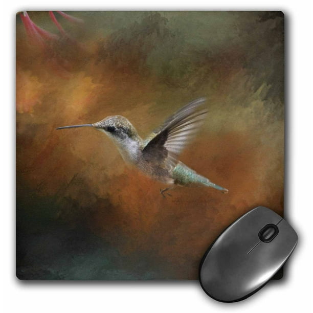 3dRose Hummingbird Old Master Fine Art Floral III, Mouse Pad, 8 by 8 ...