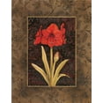 thumbnail image 2 of Brent, Paul 26x32 Gold Ornate Wood Framed with Double Matting Museum Art Print Titled - Damask Amaryllis, 2 of 4