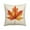 B, variant on Moocorvic Fall Decor Pumpkin Throw Pillow Covers, Thanksgiving Harvest Orange Maple Leaf Decorations for Sofa Couch Bed 18 x 18 Inch
