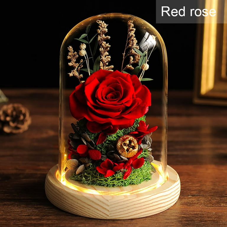 Preserved Flowers Gift for Her, Forever Roses in Glass Dome,Romantic Love  Gifts for Xmas Valentines