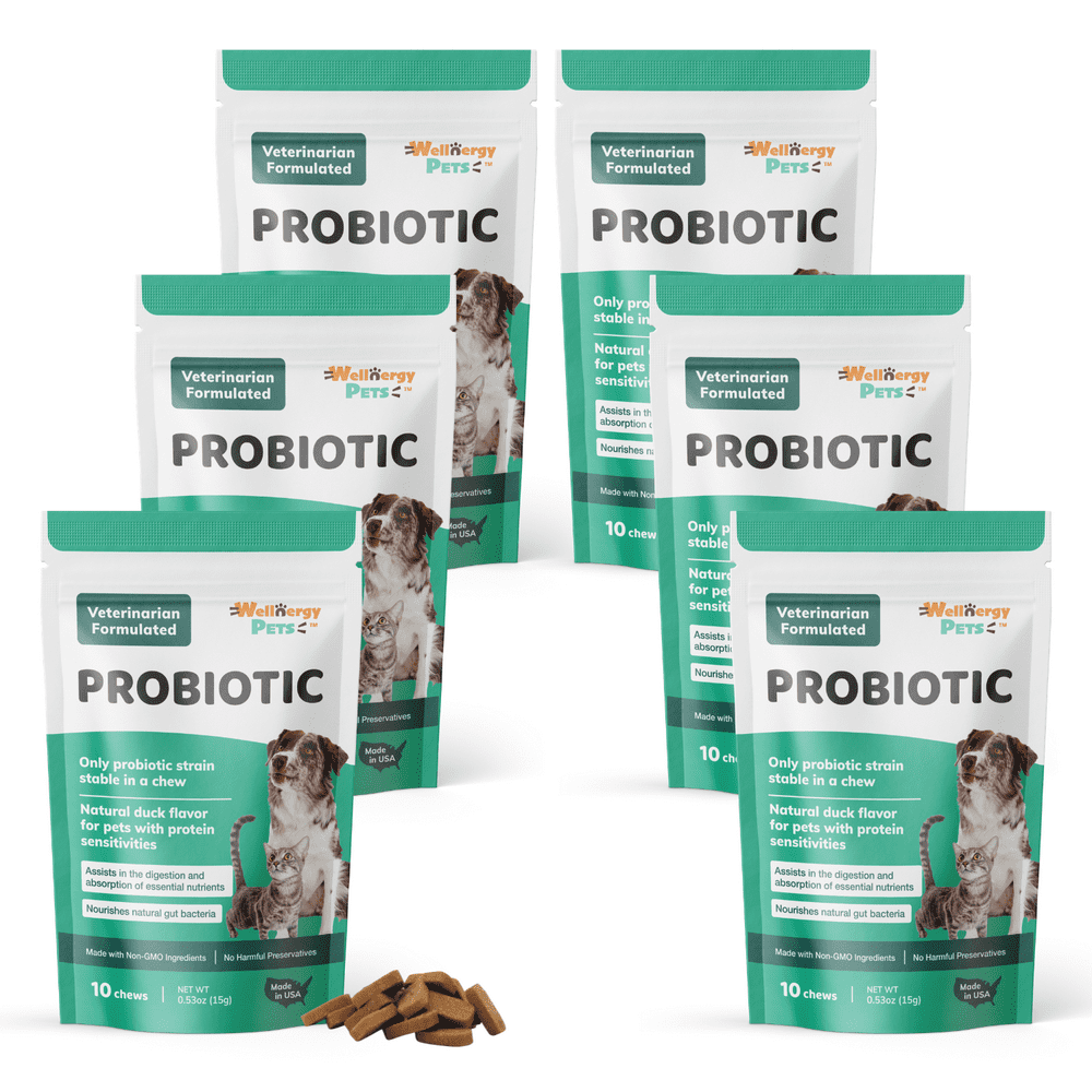 Probiotic for Dogs & Cats, Travel Pack (6) Digestive Support. Relieves Diarrhea, Upset Stomach