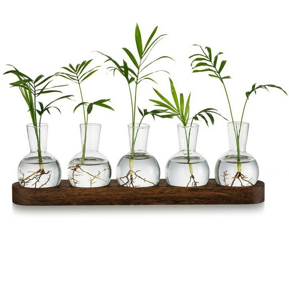 Plant Terrarium Propagation Station, Glass Planter Bulb Vase with Wooden Tray, Modern Bud Vases for Living Room Office