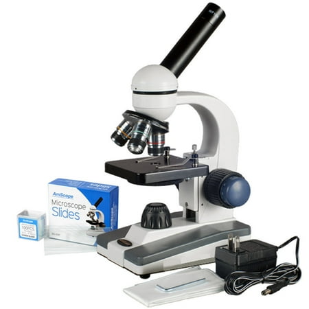 Microscope Fill In The Blank - Micropedia