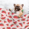 thumbnail image 3 of Sigee Watermelon for Pet Blanket for Dog Cat Puppy Blanket Cat Blankets for Small and Medium Pets-Medium, 3 of 8