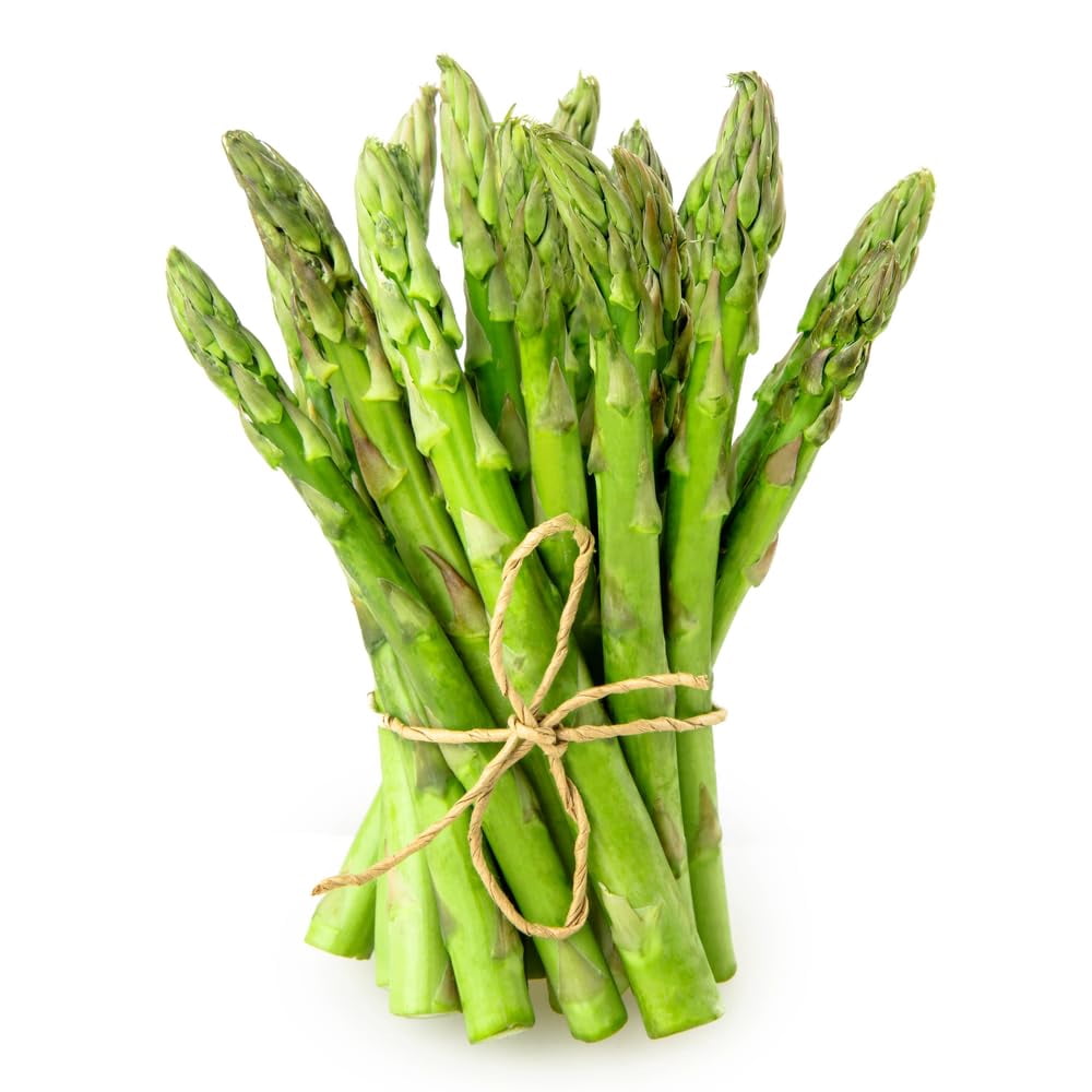 Jersey Knight Live Asparagus Bare Root Plants - 2yr Crowns - Easy to Grow Asparagus (25 Asparagus Crowns)