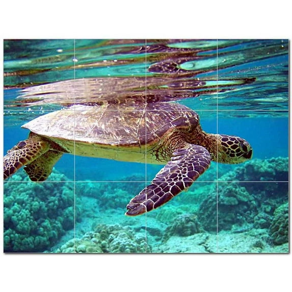 Turtle Photo Ceramic Tile Mural Kitchen Backsplash Bathroom Shower 406066-S43