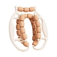 thumbnail image 4 of koolsoo Rouleau de Massage Équipement de Musculation Pince pour Jambes Coudières Mollets Marron, 4 of 9