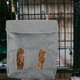 thumbnail image 4 of IDEANATEGRATE Bolsa Dispensadora De Para Pequeños Fácil De Limpiar Y Para Conejos, 4 of 6