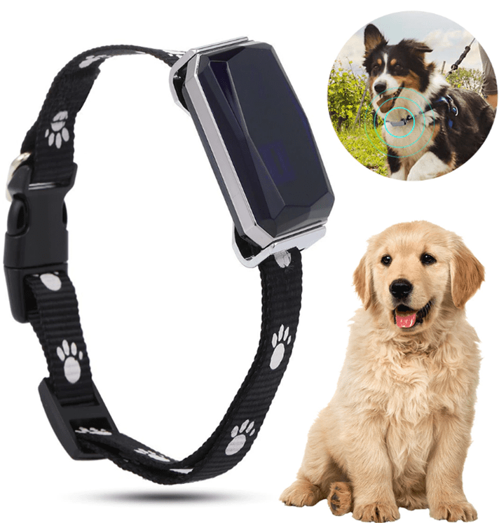 Wisdom Pet GPS Tracker, No Monthly Fee, RealTime Tracking Collar Device, APP Control for Dogs