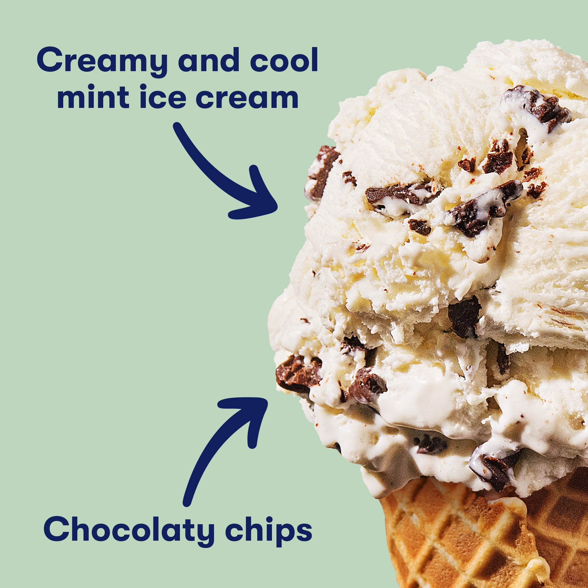 Tillamook Original Premium Mint Chocolate Chip Ice Cream, 48 fl oz
