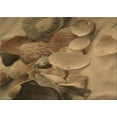 thumbnail image 1 of Ahgly Company Indoor Rectangle Patterned Dark Bronze Brown Area Rugs, 4' x 6', 1 of 6
