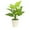 C, variant on Mlkoz Home Decoration, Artificial Potted Plants Realistic Simulation Of Green Plants Realistic Indoor Potted Plants Can Be Used For Home Desk And Bookshelf Decoration, Birthday Gifts