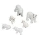 thumbnail image 3 of Modelo Educativo de Oso Blanco NikouMX Realista de Vida Marina, 3 of 8
