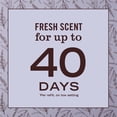 thumbnail image 5 of Mrs. Meyer's Clean Day Premium Scented Oil Plug-In, Diffuser & Air Freshener Kit, Lavender, 1 Warmer and 0.67 fl oz Refill, 5 of 8