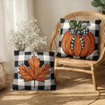 thumbnail image 4 of Fall Outdoor Throw Pillow Covers 20x20 Set of 2 Orange Pumpkin Maple Leaves Buffalo Plaid Autumn Decorative Pillow Cases Farmhouse Thanksgiving Cushion Cases for Couch Sofa, 4 of 6