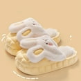 thumbnail image 7 of Fesfesfes Casual Dress Shoes for Women Cotton Slippers Women's Indoor Home Confinement Non-Slip Warm Couple Home Detachable Thick-Soled Fall And Winter Slippers 7.5-8.5(40-41), 7 of 7