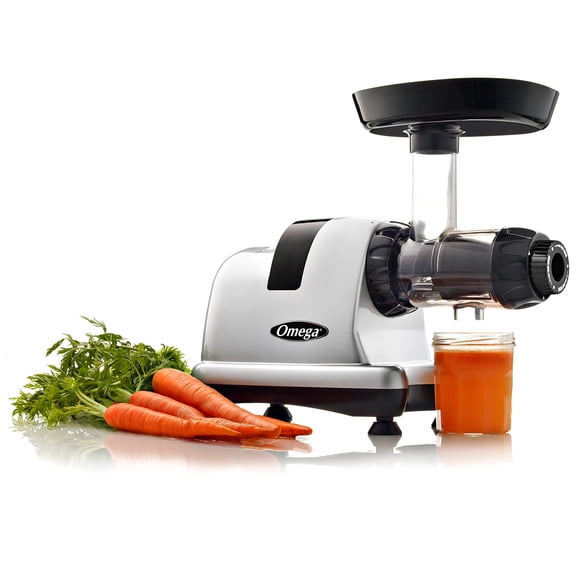 Omega Juicer & Nutrition System, Low-Speed Masticating Juicer for Maximum Juice Yield & Nutrition, 80 RPM Cold Press, Makes Baby Food, Nut Butters & Milks, Pasta & Sorbet, Easy Clean, Silver