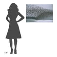 thumbnail image 4 of Global Gallery Michael Quinton 'Western Sandpiper flock migrating, spring, Copper River Delta Alaska' Canvas Wall Art, 4 of 4