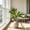 C, variant on Artificial Cordyline Fruticosa Logs Tropical Plant, Artificial Ti Plant, Fake Dracaena Tree for indoor, Artificial Red Cordyline Ti Plant, Red Fake Leaves for Outdoor, Realistic Silk Plants 20.5 in,A