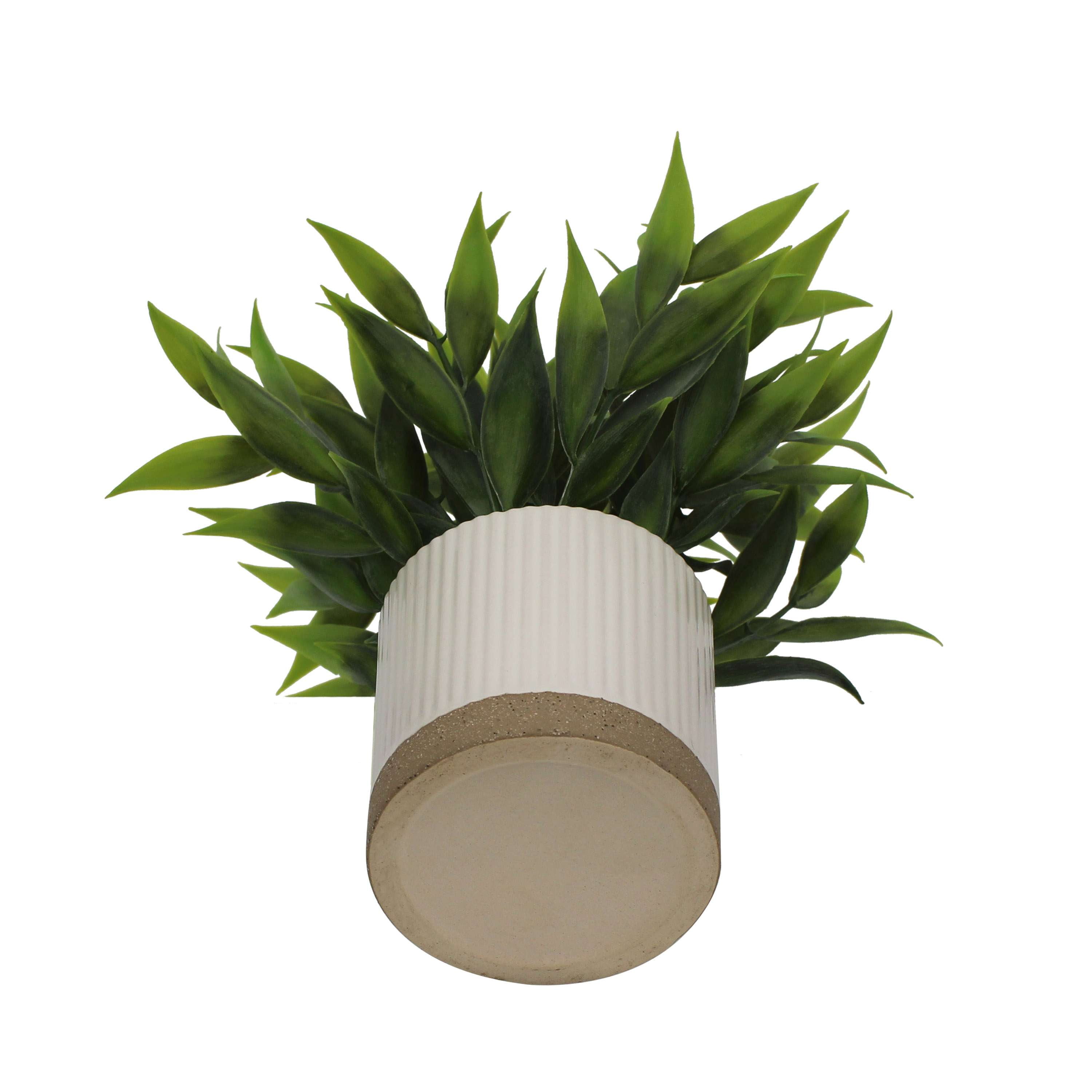 Mainstays by Becky G. & Alejandra 8" Artificial Tealeaf in White Two-Tone Ribbed Ceramic Pot