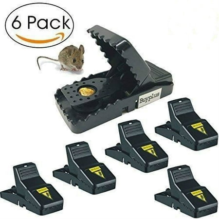 Best Mouse Trap, Mice\Rat Trap Snap Humane Power Rodent Killer, [Quick & Effective] 100% Mouse Catcher, [Safe & Sanitary] Families\Pets Protector - 6 (Best Roach Killer In Stores)