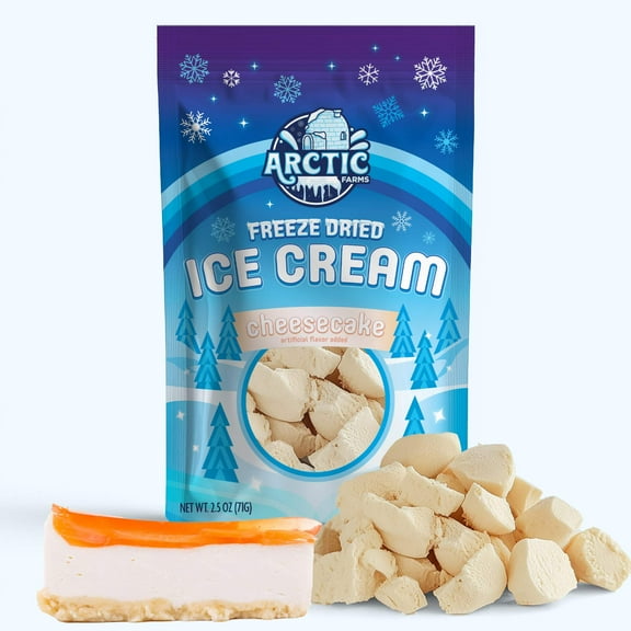 Freeze Dried Ice Cream That Does Not Melt (Bits) (Cheesecake) (2.5oz)